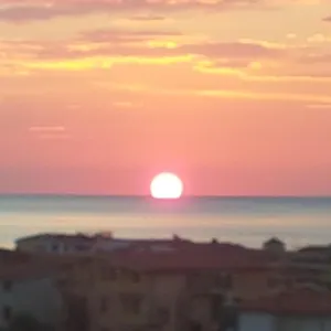 Orchidea - Rosa Blu , La Caletta Italia