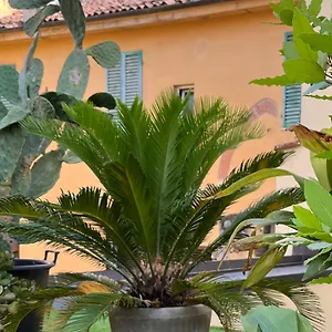 Il Terrazzo Di San Colombano , Bologna Italia